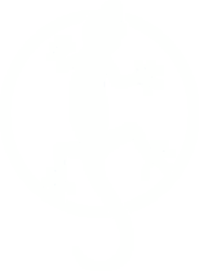 GDL Software